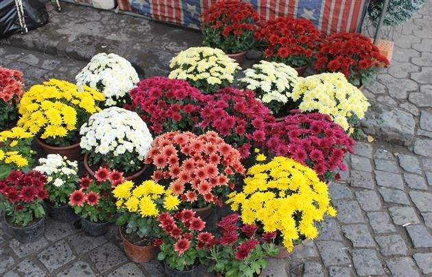 Новини Васильків