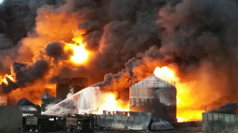 Новини Васильків