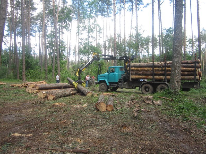 Новини Васильків