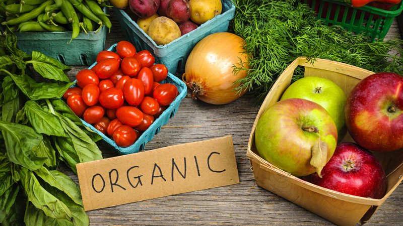 Эко продукты для питания детей = здоровый ребенок