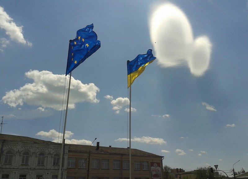 День Європи в Василькові.