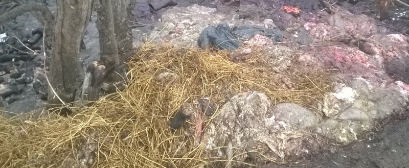 Сміття з автомобіля на узбічча