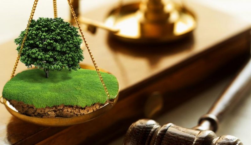 До відома платників земельного податку з фізичних осіб
