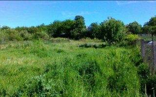 новости Васильков