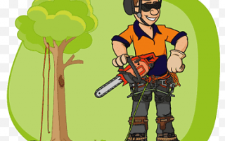 новини Васильков