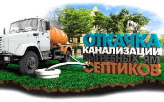 новини Васильков