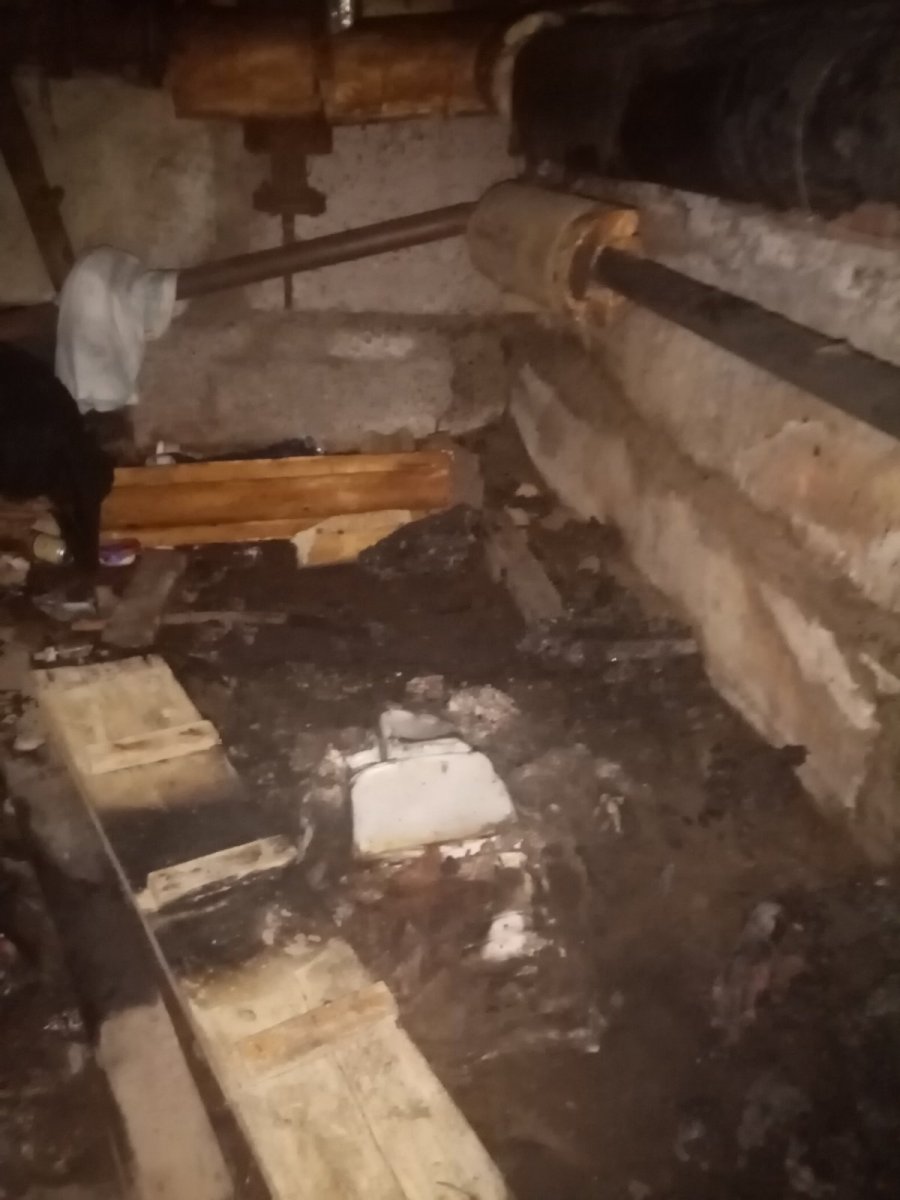 Пожежа в гуртожитку Василькова