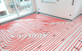 новини Васильков