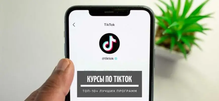 Обучение на курсах тик ток