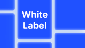 White Label платіжний шлюз: рішення для бізнесу