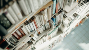 "36 і 6 котів": Чи це просто книга про котів? Розкриваємо глибини історії
