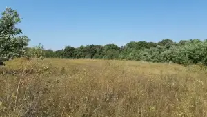 ПРОДАЖ ЗЕМЕЛЬНОЇ ДІЛЯНКИ - 25сот с.Зозулі