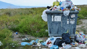 Екологія та відходи: особливості вивезення сміття у Києві та області